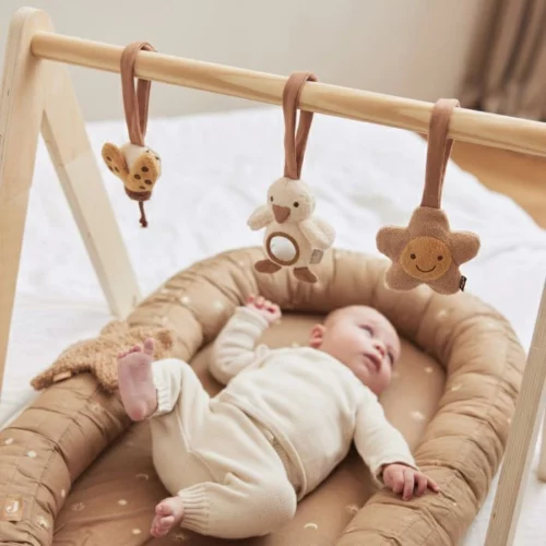 Jollein babygym speeltjes spring garden